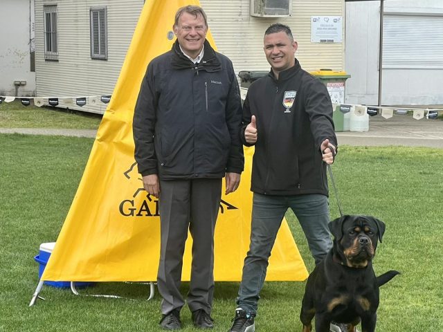 National Shows & Results, NRCA, Guardian of the Rottweiler in Australia