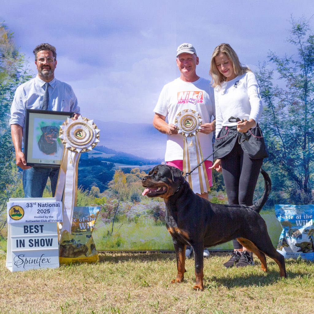 The current image has no alternative text. The file name is: BISS-2025.jpg